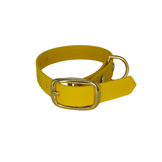 Collar biothane amarillo